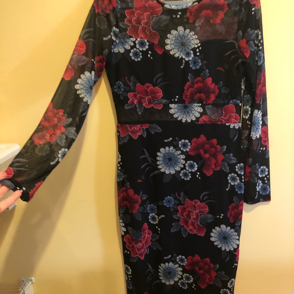 NWOT Sweet Rain sheer dress
